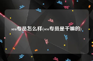 seo专员怎么样(seo专员是干嘛的)