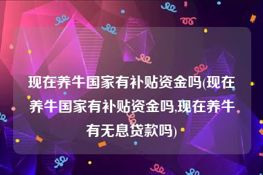 现在养牛国家有补贴资金吗(现在养牛国家有补贴资金吗,现在养牛有无息贷款吗)