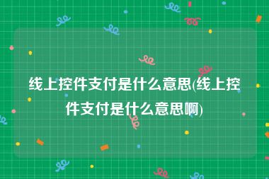 线上控件支付是什么意思(线上控件支付是什么意思啊)