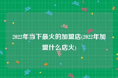 2022年当下最火的加盟店(2022年加盟什么店火)