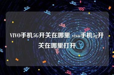 VIVO手机5G开关在哪里 vivo手机5g开关在哪里打开