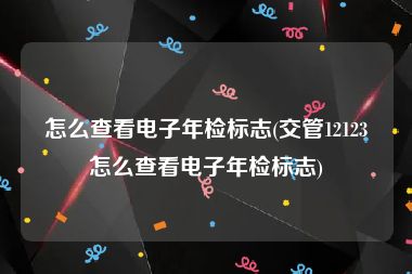 怎么查看电子年检标志(交管12123怎么查看电子年检标志)