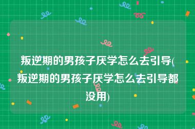 叛逆期的男孩子厌学怎么去引导(叛逆期的男孩子厌学怎么去引导都没用)