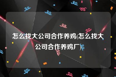 怎么找大公司合作养鸡(怎么找大公司合作养鸡厂)