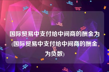 国际贸易中支付给中间商的酬金为(国际贸易中支付给中间商的酬金为负数)