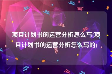 项目计划书的运营分析怎么写(项目计划书的运营分析怎么写的)