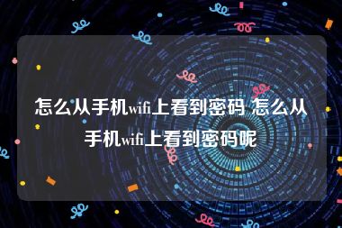 怎么从手机wifi上看到密码 怎么从手机wifi上看到密码呢