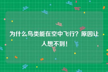 为什么鸟类能在空中飞行？原因让人想不到！