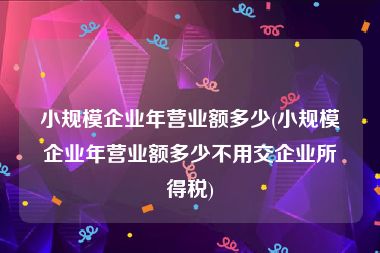 小规模企业年营业额多少(小规模企业年营业额多少不用交企业所得税)