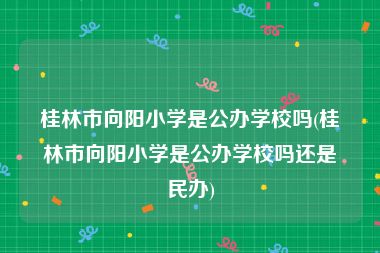 桂林市向阳小学是公办学校吗(桂林市向阳小学是公办学校吗还是民办)