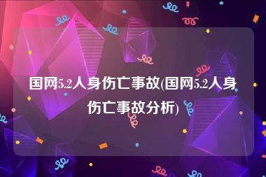 国网5.2人身伤亡事故(国网5.2人身伤亡事故分析)