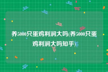 养5000只蛋鸡利润大吗(养5000只蛋鸡利润大吗知乎)