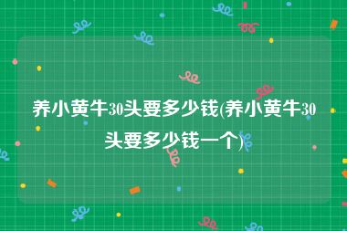 养小黄牛30头要多少钱(养小黄牛30头要多少钱一个)