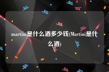 martini是什么酒多少钱(Martini是什么酒)