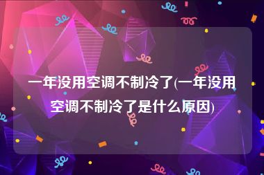 一年没用空调不制冷了(一年没用空调不制冷了是什么原因)