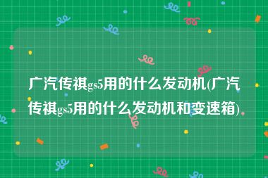 广汽传祺gs5用的什么发动机(广汽传祺gs5用的什么发动机和变速箱)