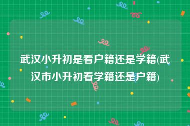 武汉小升初是看户籍还是学籍(武汉市小升初看学籍还是户籍)