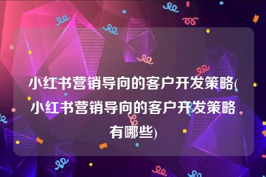 小红书营销导向的客户开发策略(小红书营销导向的客户开发策略有哪些)