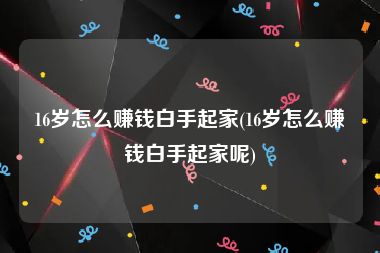 16岁怎么赚钱白手起家(16岁怎么赚钱白手起家呢)