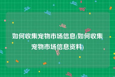 如何收集宠物市场信息(如何收集宠物市场信息资料)