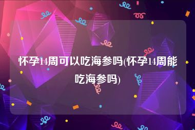 怀孕14周可以吃海参吗(怀孕14周能吃海参吗)