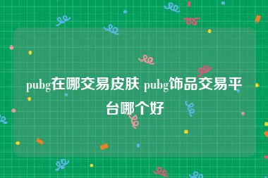 pubg在哪交易皮肤 pubg饰品交易平台哪个好