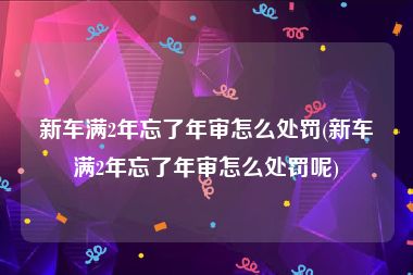 新车满2年忘了年审怎么处罚(新车满2年忘了年审怎么处罚呢)