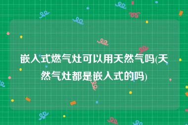 嵌入式燃气灶可以用天然气吗(天然气灶都是嵌入式的吗)