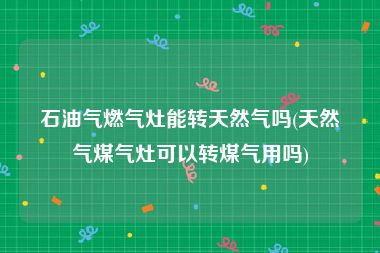 石油气燃气灶能转天然气吗(天然气煤气灶可以转煤气用吗)