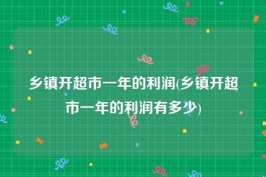 乡镇开超市一年的利润(乡镇开超市一年的利润有多少)