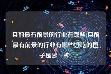 目前最有前景的行业有哪些(目前最有前景的行业有哪些好吃的橙子是哪一种)