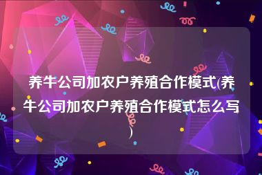 养牛公司加农户养殖合作模式(养牛公司加农户养殖合作模式怎么写)