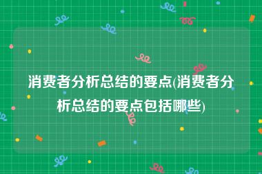 消费者分析总结的要点(消费者分析总结的要点包括哪些)