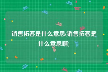 销售拓客是什么意思(销售拓客是什么意思啊)