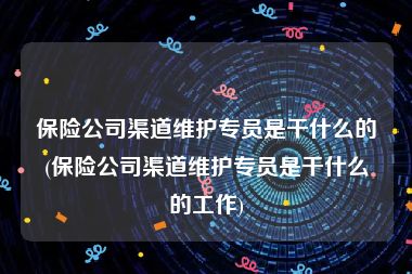 保险公司渠道维护专员是干什么的(保险公司渠道维护专员是干什么的工作)