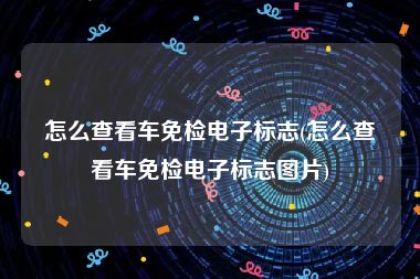 怎么查看车免检电子标志(怎么查看车免检电子标志图片)