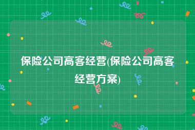 保险公司高客经营(保险公司高客经营方案)