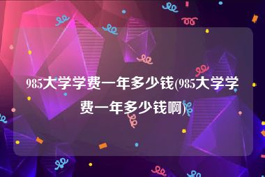 985大学学费一年多少钱(985大学学费一年多少钱啊)