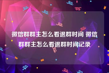 微信群群主怎么看退群时间 微信群群主怎么看退群时间记录