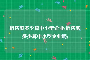 销售额多少算中小型企业(销售额多少算中小型企业呢)