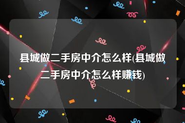 县城做二手房中介怎么样(县城做二手房中介怎么样赚钱)