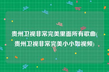 贵州卫视非常完美里面所有歌曲(贵州卫视非常完美小小如视频)