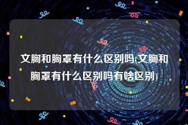 文胸和胸罩有什么区别吗(文胸和胸罩有什么区别吗有啥区别)