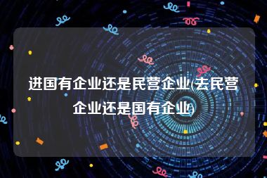 进国有企业还是民营企业(去民营企业还是国有企业)