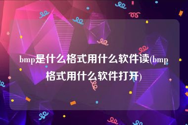 bmp是什么格式用什么软件读(bmp格式用什么软件打开)