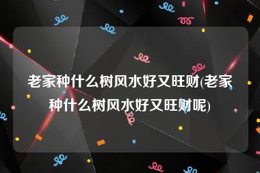 老家种什么树风水好又旺财(老家种什么树风水好又旺财呢)