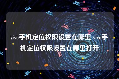 vivo手机定位权限设置在哪里 vivo手机定位权限设置在哪里打开