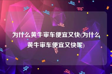 为什么黄牛审车便宜又快(为什么黄牛审车便宜又快呢)