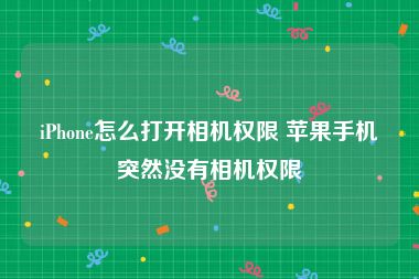 iPhone怎么打开相机权限 苹果手机突然没有相机权限