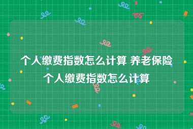 个人缴费指数怎么计算 养老保险个人缴费指数怎么计算